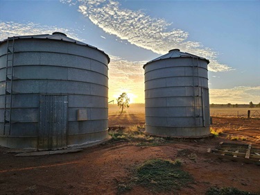 1st Place: A Country Life (Brett Collins)