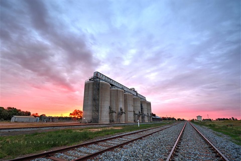 grain silos at dusk.jpg